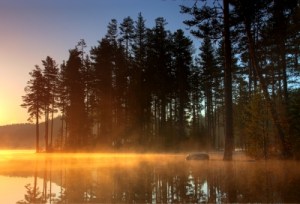 thanks to the artist who calls him/herself prozac1 for this image.