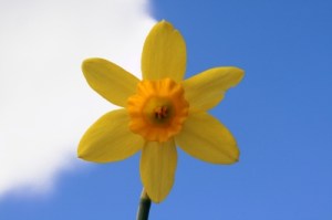 Thanks to James Barker for the image.